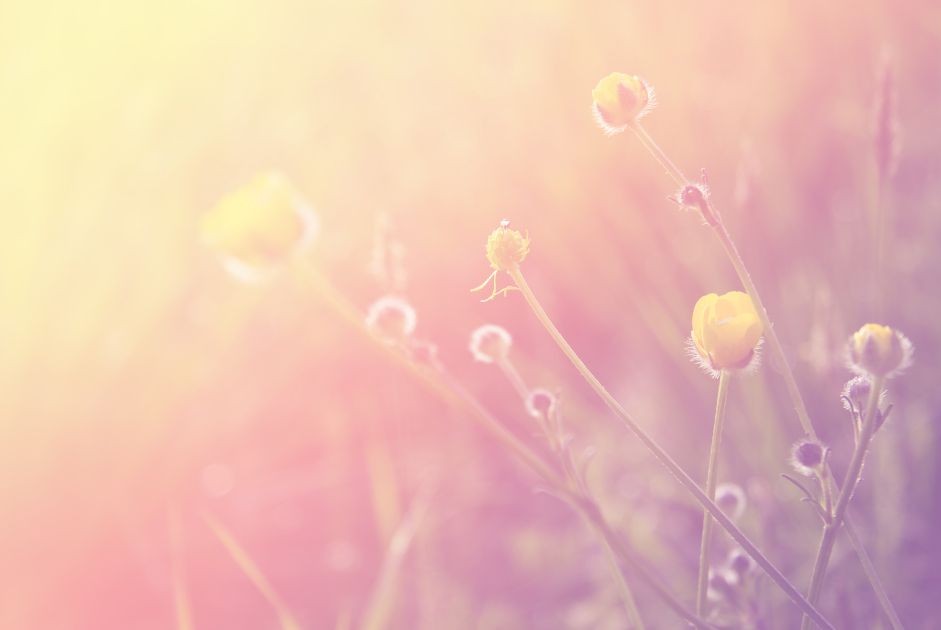 やわらかな光のイメージ